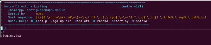 Explore showing NetRW Directory Listing