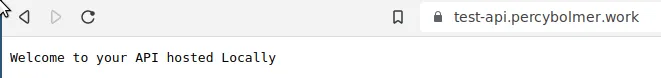API hosted on LocalHost accessible on the domain