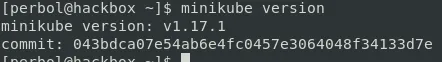 Minikube version prints the version