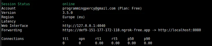 Ngrok routing traffic to our local machine